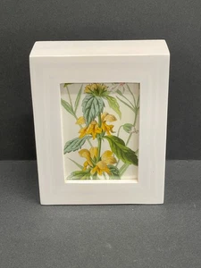 Botanical, Flower, Antique, FRAMED! Miniature #3 - Picture 1 of 5