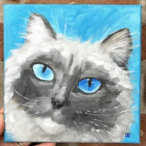 Original Acrylic Canvas Painting Contemporary Rag Doll Cat Portrait by ili - Picture 1 of 5