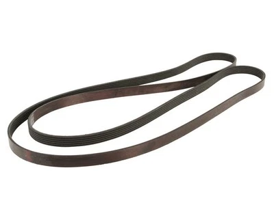 Cinturón multi costilla Dayco 39948QSDK 1994 1995 1996 5,8 L V8 para Ford F350 1993-1997 Foto 1 de 2