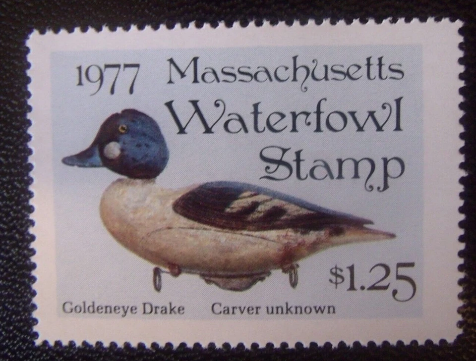 1977 Massachusetts Waterfowl Duck Hunting Stamp - MNH   Lot#M62 - Image 1 of 1