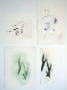4 x etching/monoprints by Heather Townshend (1934-2008) abstract, botanical. - Picture 1 of 2