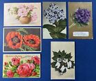 6 Flower Greetings Antique Postcards. 1 shows Cotton Blossoms   