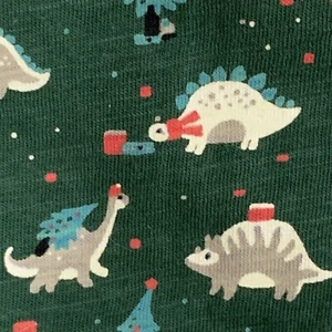 Boys Craft + Flow Size 6 Large T-Shirt Green Dinosaurs L/S NEW MSRP $25 Z1 - Picture 1 of 8