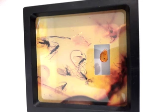 Old Insect amber inclusion " Trapped in time " - Imagen 1 de 7