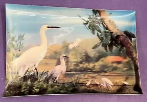 3-D Birds Cranes Herons Lenticular Postcard - Picture 1 of 2