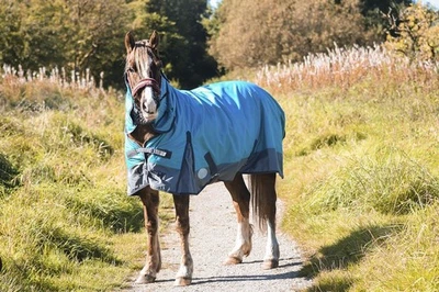Outdoor Turnout Aqua/Grey 600D 5'3-6'9 Horse Waterproof Winter Equine 50G Rugs - Image 1 of 4