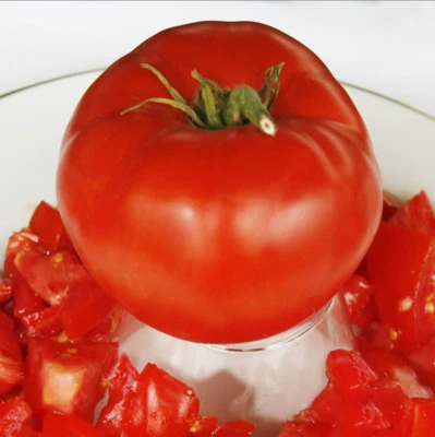 TOMATO GIANT SYRIAN 20+ seeds big tomatoes rare heirloom garden vegetable - image 1 of 2