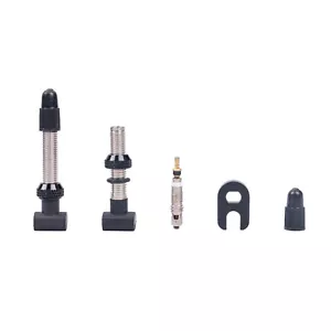 Vástago de válvula Presta universal DT Swiss 32 mm para bicicleta de carretera de montaña - Imagen 1 de 7