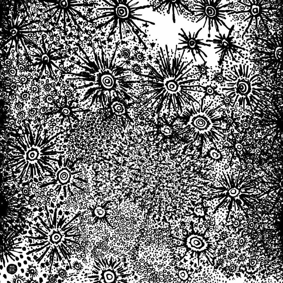 SPIRIT FEST - ANOHITO DIGIPAK  CD NEU - Bild 1 von 1