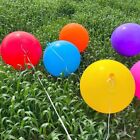 Rainbow Color 36 inch Photo Balloons Lawn Balloons  for Kids Adults