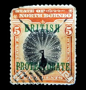 1901 NORTH BORNEO / British Protectorate / 5C BIRD G 131 / Used - Picture 1 of 1