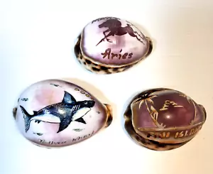 Vintage Souvenir Carved Tiger Cowrie Shells Fiji, Aries, Tathra Warf Home Décor - Picture 1 of 18