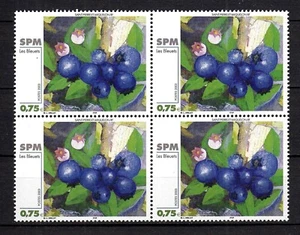 106530/ Saint Pierre 2002 – 4x Mi 881 – Kunst – postfrisch - Bild 1 von 1