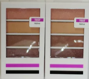 2 NEUTRAL COLOR TEST 4,5 Quad Eyeshadow Compacts W Double End Brush New & Sealed - Picture 1 of 1