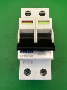 Aislador interruptor principal doble polo Sector SVMS100 100A - Imagen 1 de 4