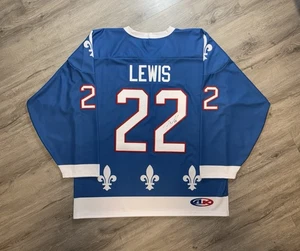 Los Angeles Kings Trevor Lewis Game Used Jersey, LA Kings Game Worn, NHL - Picture 1 of 7