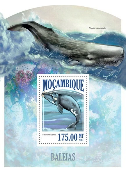 2013 MOZAMBIQUE MNH.  WHALES. Michel Code: 6831 / Bl.805  |  Scott Code: 2998 - Image 1 of 1