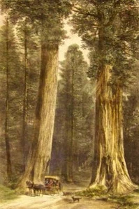 Old Trees Horse and Wagon Dog - Picture 1 of 1