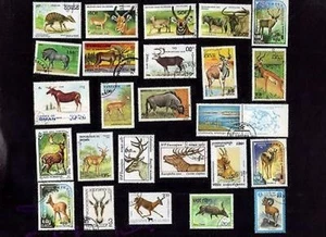 25 All Different DEER FAMILY ANIMALS ON Stamps - Picture 1 of 1