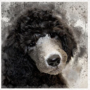 Dog - Poodle Fabric Craft Panels in 100% Cotton or Polyester - Picture 1 of 1