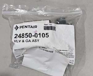 Original Pentair 24850-0105 Ventil Manometer Baugruppe für Sta-Rite Pool Spa Filter NEU - Bild 1 von 2