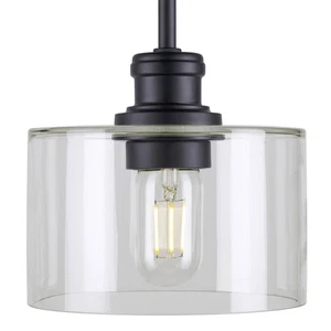 Forte Lighting 2748-01 Zane 7"W Mini Pendant - Black - Picture 1 of 4