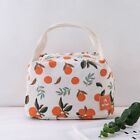 Women Fruit Lunch Container Lunch Pouch Thermal Bag Food Bag Lunch Bag