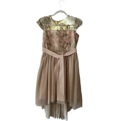 Maxi Falda Para Niña Vestido Formal Rosa Dorado Brillo Bordado Encaje Dorado Tul Foto 1 de 4