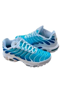 Nike Tn Homme Bleu Dégradé T.42 - Photo 1/4