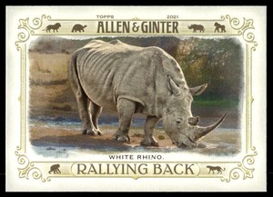 2021 Topps Allen & Ginter #RB-7 White Rhino    Rallying Back