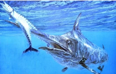 Impresión firmada y numerada de Stanley Meltzoff "Black Marlin & Wahoo" 1986 limitada de 750 Foto 1 de 4