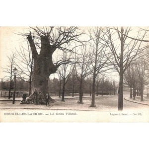 Bruxelles - Laeken. Le gros Tilleul. - Imagen 1 de 2