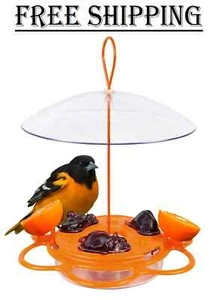 Nature's Way OFP1 All-in-One Oriole Buffet Bird Feeder, Orange - Picture 1 of 13