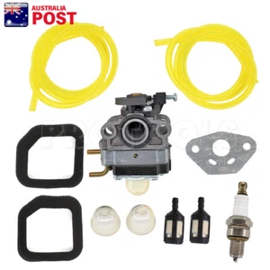 Carburetor Filter For Homelite HBLT25CD HLT25SDSN HLT25SDS HLT25CDS Carburettor - Picture 1 of 6