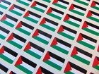 Pack of 64 Small Mini 20x12mm Palestine Palestinian Flag Stickers, Sticky Labels