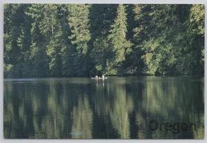 Postcard  Fishermen on the Leaburg Dam Lane County Eugene Oregon N-2 - Picture 1 of 2