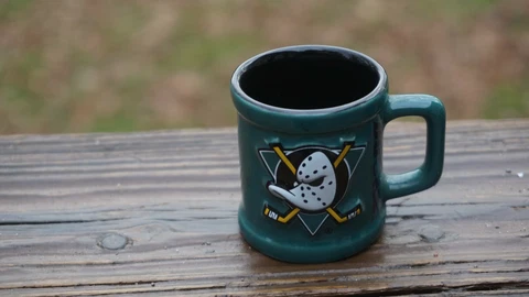 Colorful Anaheim Mighty Ducks  Handled Shot Glass Cover