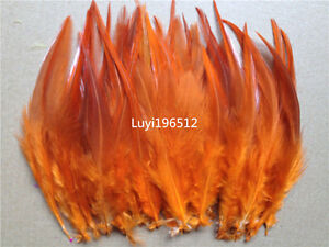 Beautiful 50-500pcs Rooster Tail Feathers 10-15cm / 4-6inch 32 Colors