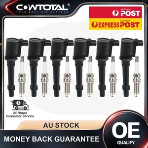 6Pack Ignition Coil & Iridium Spark Plug For Ford Territory SX SY 4.0L BARRA 182 - Picture 1 of 8