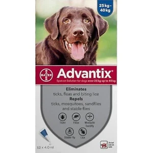 Advantix Spot On 4 Pipette Da 4 ml Per Cani Fino A 40 KG 25-40 Kg - Foto 1 di 1