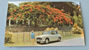 Trinidad Botanical Garden Queen's Park Savannah 1954 Hillman Minx Postcard - Picture 1 of 2
