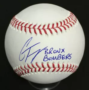Gleyber Torres Yankees Signed Baseball INS Bronx Bombers Mint Autograph JSA COA - Picture 1 of 8
