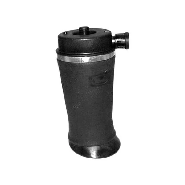 For Ford Expedition 1997-2002 Westar AS-7002 Rear Air Spring Foto 1 de 1