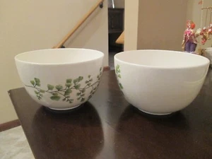 2er SET Macy's Martha Stewart MÄDCHENHAARFARN GRÜN Müsli Suppenschalen - Bild 1 von 8
