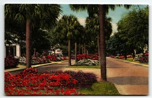 Postkarte Victory Drive US Highway 80 Savannah Georgia GA UNP - Bild 1 von 2