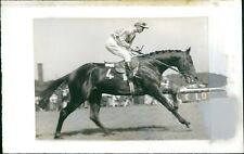 Horse races - Vintage Photograph 3309627