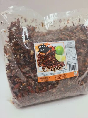 1 LB CHAPULINES FRESCOS PICOSITOS (saltamontes picantes) OAXACA  Foto 1 de 4