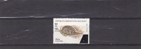 Comoros mnh rare overprinted stamp snail scott 1478 1998 Cover