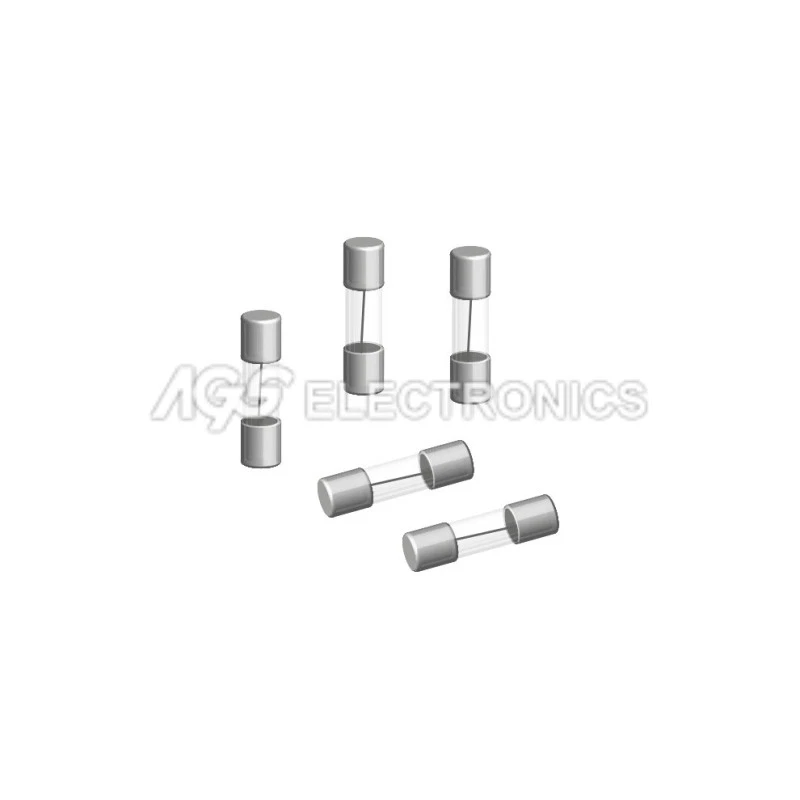 SEKI 10 x FUSE FUSIBILE 5x20mm FAST RAPIDO 1A (10 pezzi)