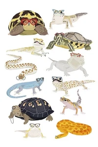 Reptiles in Glasses Print by Hanna Melin 11 x 14 in. Paper Size New Unframed - Picture 1 of 1